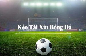 Giới thiệu về kèo tài xỉu bóng đá  VIPWIN